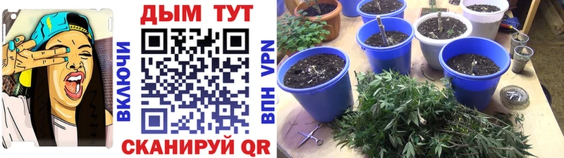 Виды наркоты Калач-на-Дону APVP  OMG как войти  АМФЕТАМИН  Псилоцибиновые грибы  Марихуана  Гашиш 